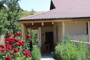 Villa Shamakhyan Dilijan, Dilijan